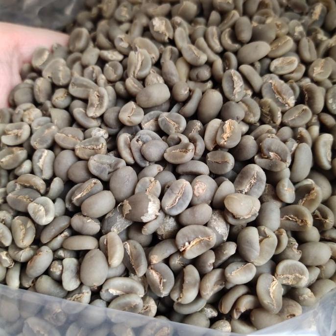

Green Bean Toraja Arabika G1