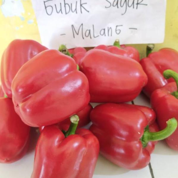 

TERBAIK Paprika Merah 500 gram 863