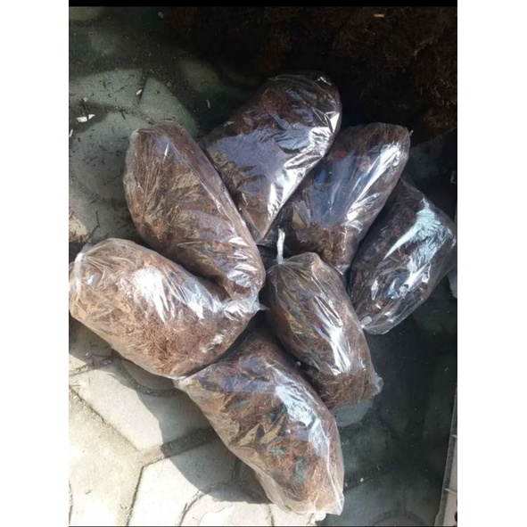 1plastik media ,mos hitam ,buat media angrek media tanam media cangkok