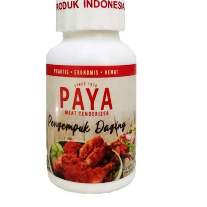 

✈ PAYA PENGEMPUK DAGING / PAYA MEAT TENDERIZER ぺ