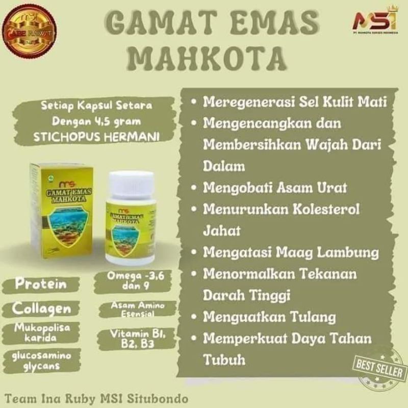 GAMAT_EMAS MAHKOTA