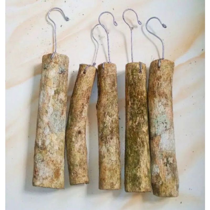 media tanam anggrek kayu kopi-media tanam anggrek gantung kayu kopi