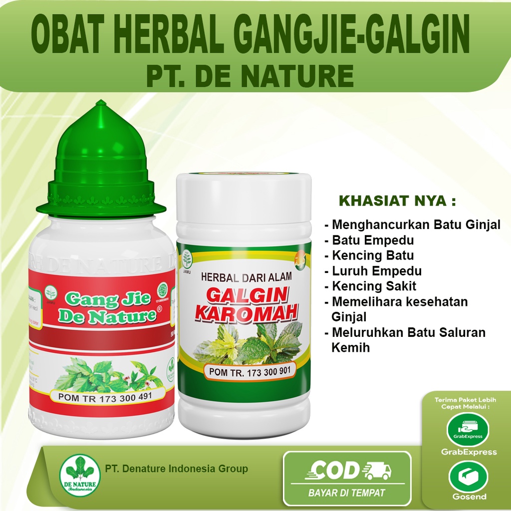 Obat gagal ginjal, sakit ginjal, ginjal bocor, ginjal bengkak, radang ginjal, kencing batu, batu gin