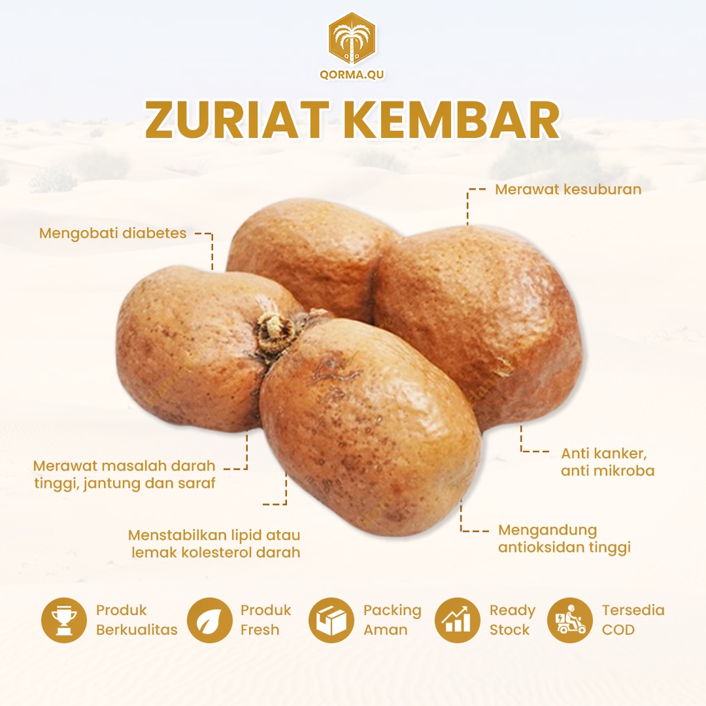 

(READY STOCK) Buah Zuriat Kembar Mesir Original 100% Untuk Promil + Free Testpack | zuriat kembar promil