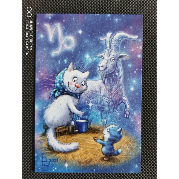 

kartu pos kucing bluecat/bluecat postcard