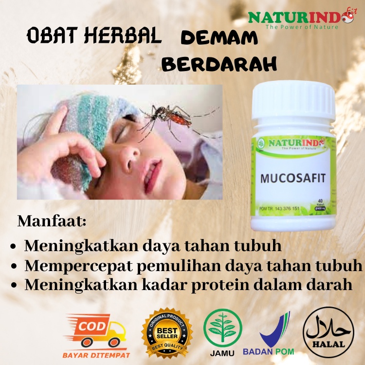 Jual Mucosafit Obat Herbal Demam Berdarah Dbd Demam Denggi Dangue ...