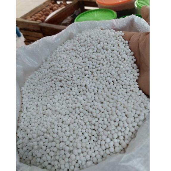 

(B-1-W✪) Sagu Mutiara Putih Super/ Biji Mutiara Putih Super 250 gr viral