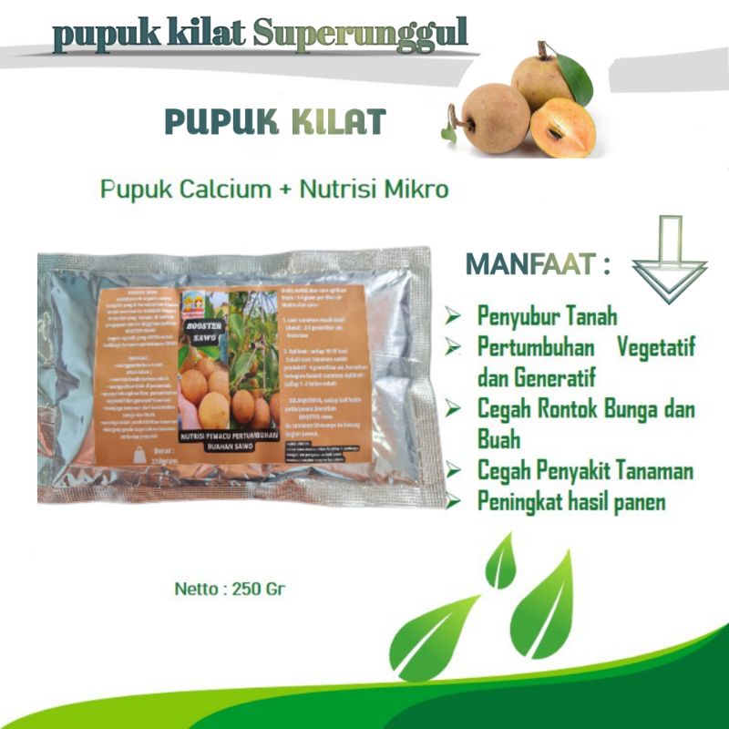 Pupuk Booster Organik Pelebat Buah Sawo Dan Perangsang Agar Cepat Berbuah