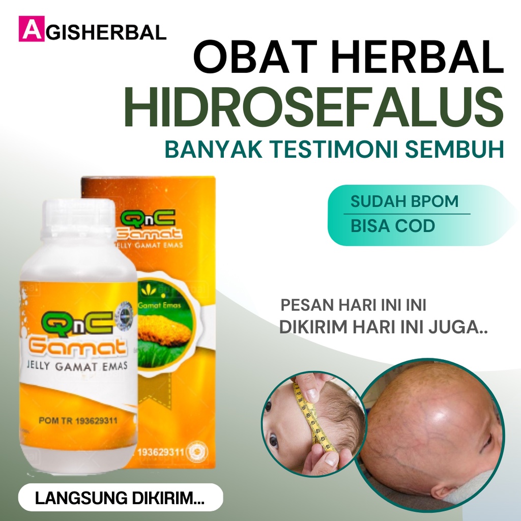 Obat Hidrosefalus Anak Herbal Qnc Jelly Gamat Emas Asli 100% Original