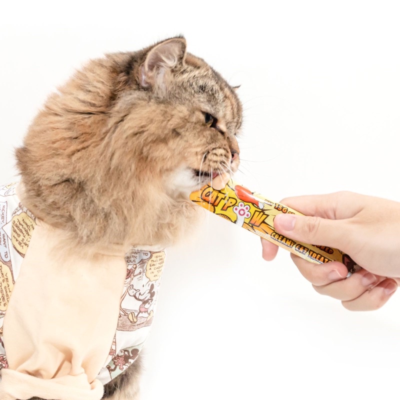 Catpow Creamy Treats Satuan Snack Kucing Satuan