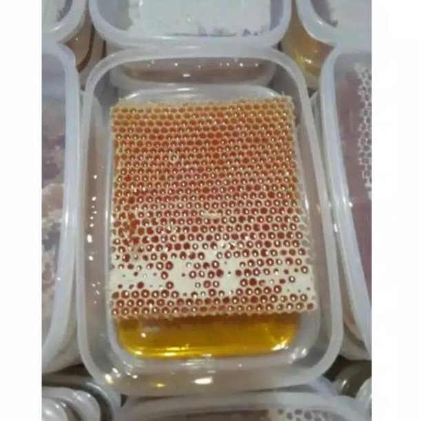 

ザ [500GR] SARANG MADU MELIFERA ASLI / MADU SARANG HONEYCOMB ⇝