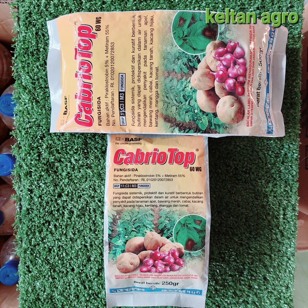 CABRIO TOP 60WG ( 250 GR )