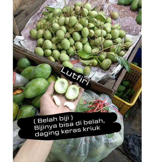 

ajk52 Mangga Telor atau Telur Muda Mentah 1 kg belah biji asem segar fresh rujak manisan asinan .,.,