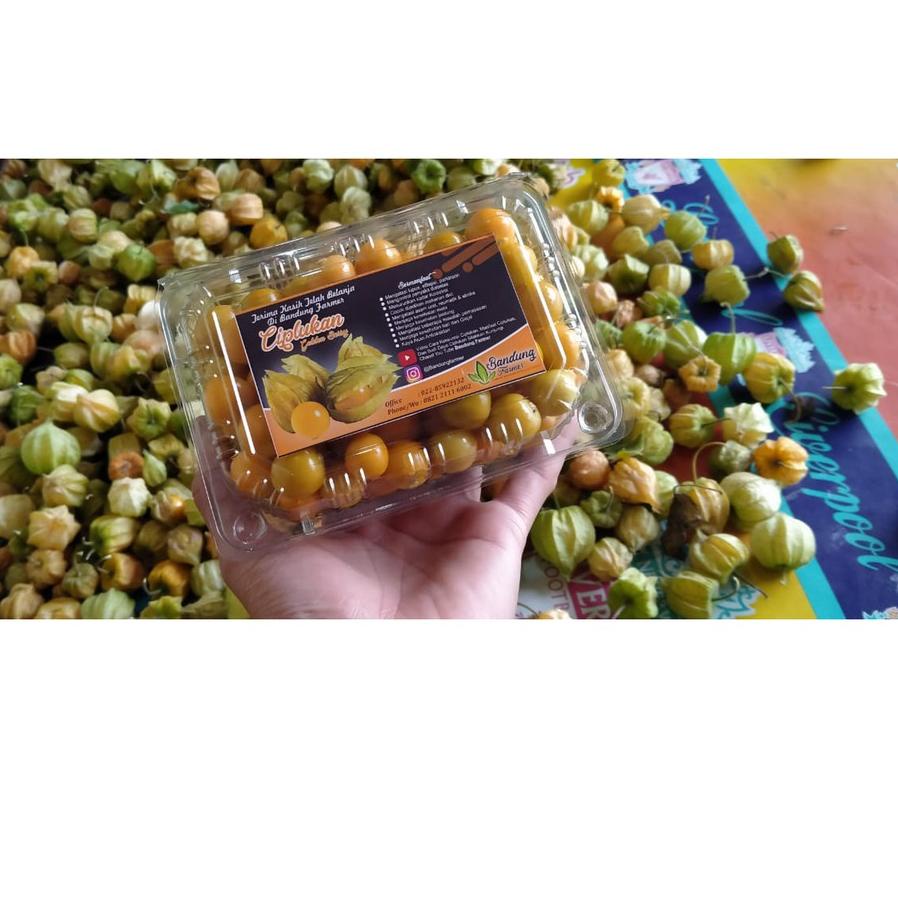 

limited STOCK!Jual Buah CIPLUKAN KUPAS 250 Gram Buah Enak Banyak Manfaat|RA9