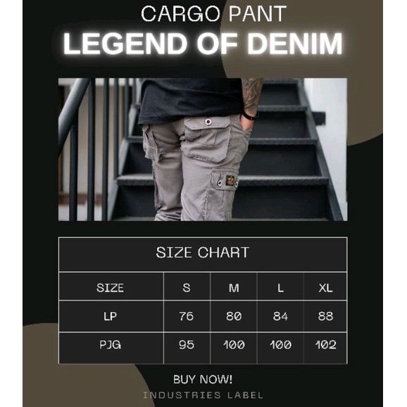 Legend Of Denim Dayrie Original celana cargo panjang pria celana cargo warna grey LOD seri DD004