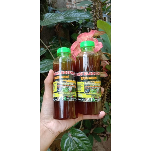 

MADU LEBAH KLANCENG 100% ORIGINAL MADU KLANCENG ITAMA MURNI 250ml Murah