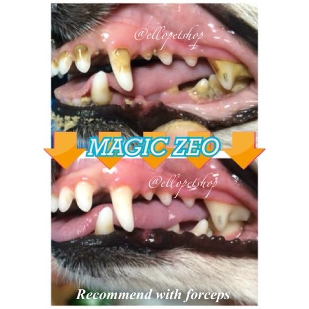 MAGIC ZEO JAPAN / SCALLING ANJING / PEMBERSIH KARANG GIGI ANJING