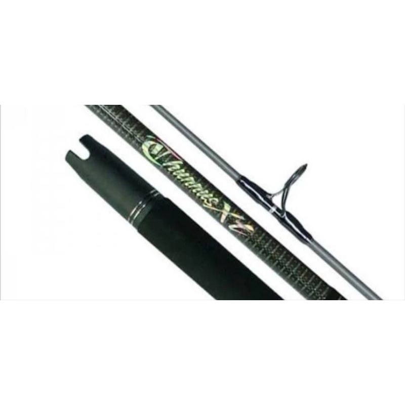 Rod Popping Maguro Thunus XT PE 8