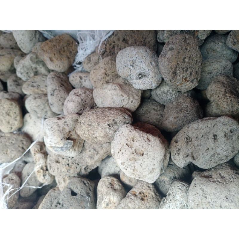 Media Filter Kolam Aquarium Pumice Stone Batu Apung 1kg