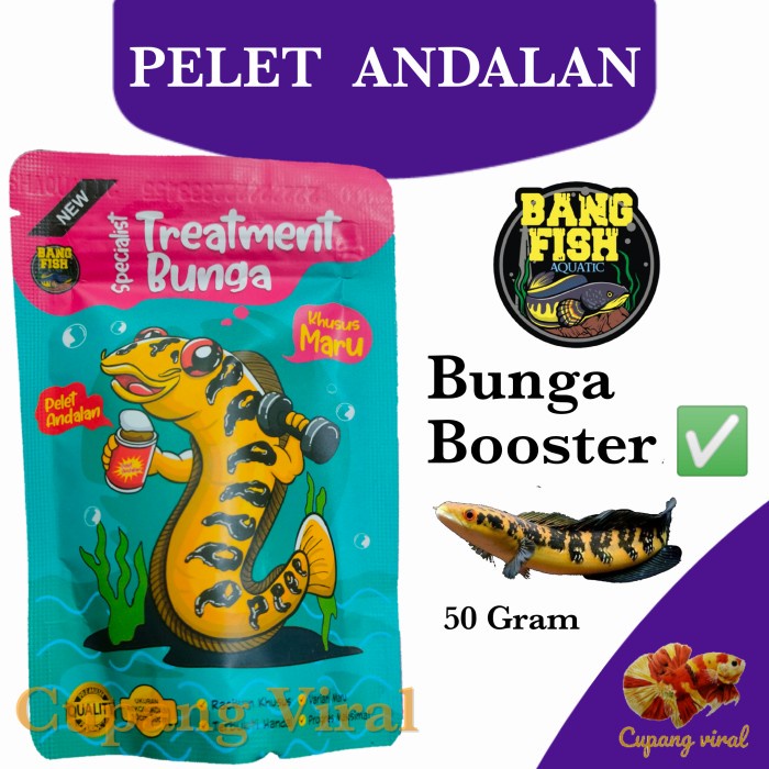 Pelet Andalan BANG FISH AQUATIC Progress Bunga Channa Maru Treatment