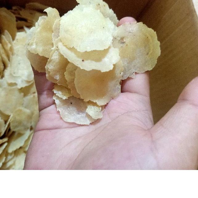 

BISA COD ✔️Emping Ceplis Melinjo ASLI!!! 500G Gram Kulon Banten Kualitas Terbaik Tipis Dan Dijamin Mekar Renyah|KD8