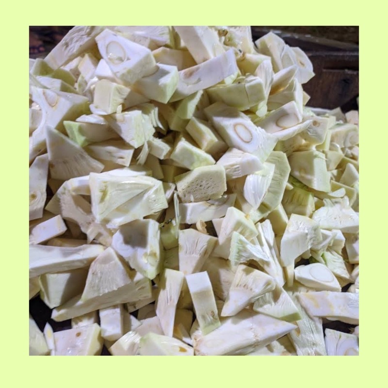 

Nangka sayur / nangka sayur fresh