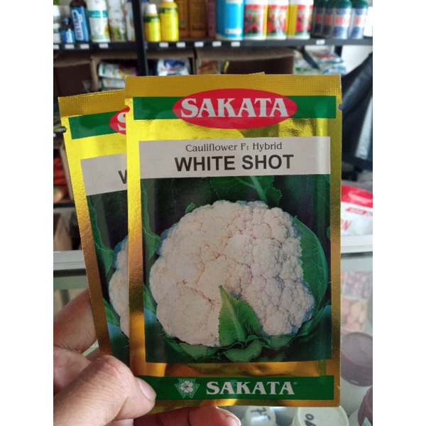 Benih bunga Kol/brokoli/bungkul WHITE SHOT isi 10gram produk SAKATA