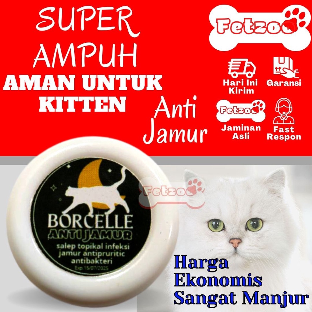 Obat Jamur Scabies Gudik Kudis Obat Gatal Oles Kucing FETZOO