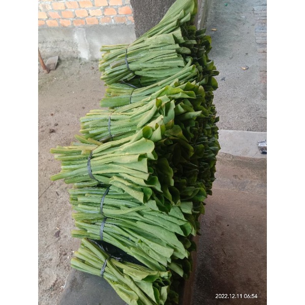 

sayur genjer fres