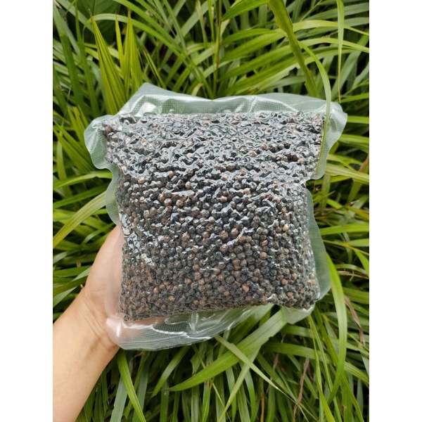 

LADA HITAM BUTIR / BIJI 1KG KUALITAS TERBAIK