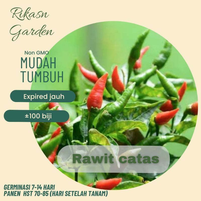 KHUSUS BATAM benih biji bibit cabe rawit catas