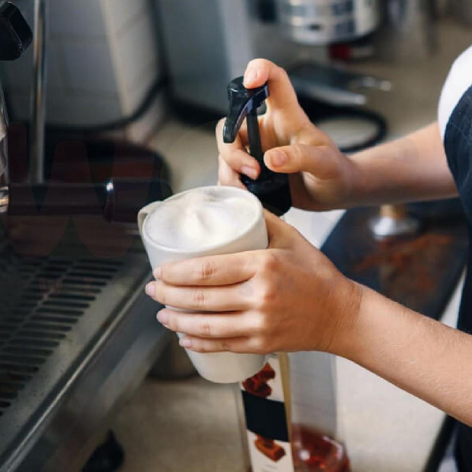 

[KODE 77] Trieste Premium Syrup Vanilla Flavoured 650 ml