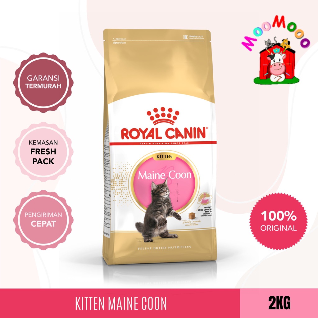 Royal Canin Kitten Maine Coon 2Kg - Makanan Kucing Maine Coon Kitten / Cat Food