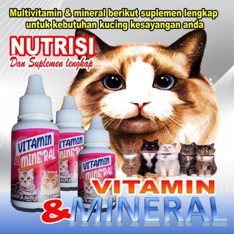 1 BTOL NUTRISI KUCING mineral multi vitamin anjing obat kucing nafsu makan cegah lesu