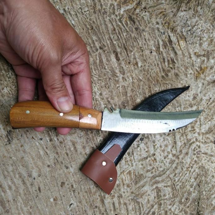 Pisau Baja Stek Kuku Bima Pulltang Baja Per 01
