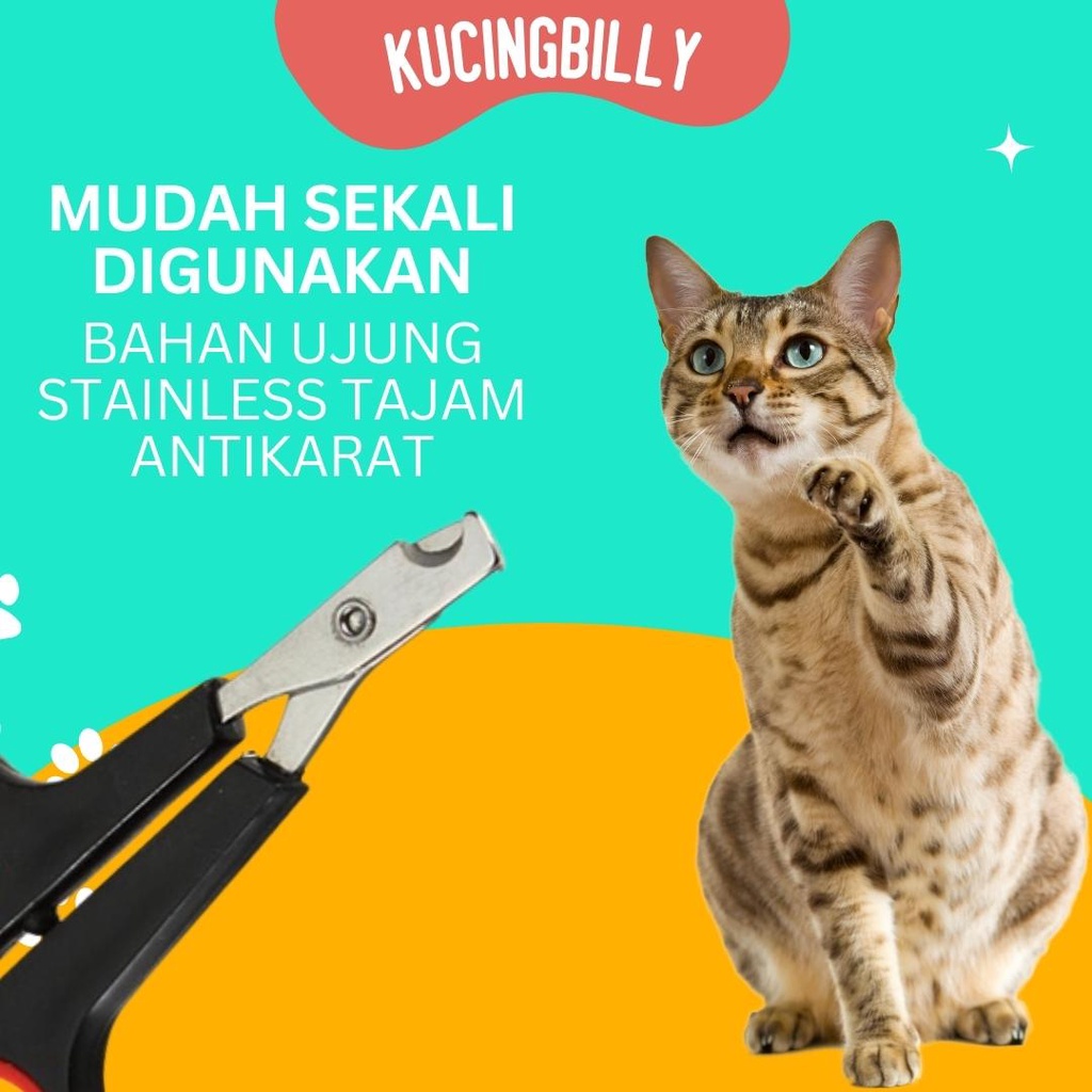 Gunting kuku kucing dan anjing