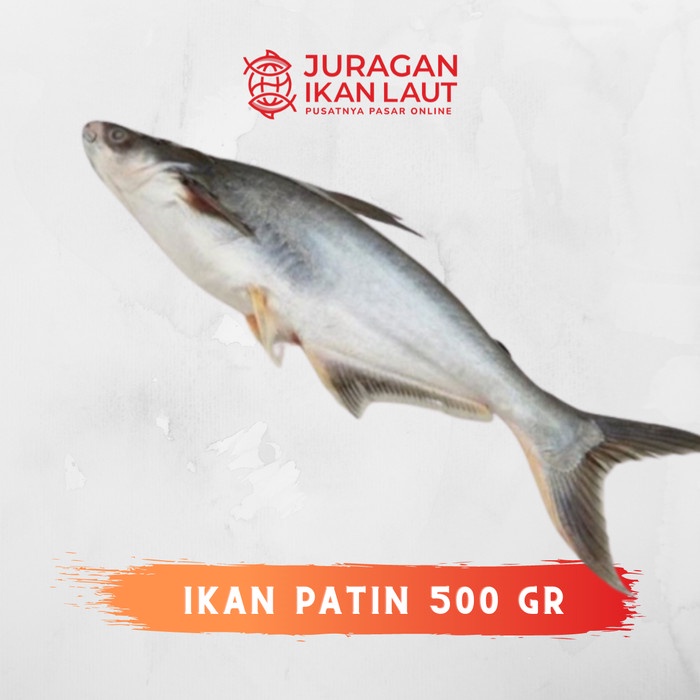 

Ikan Patin Segar Berkualitas - 500 Gram