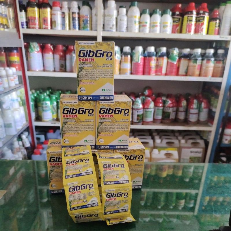 Pupuk zpt Gibro panen 20 sp 1g