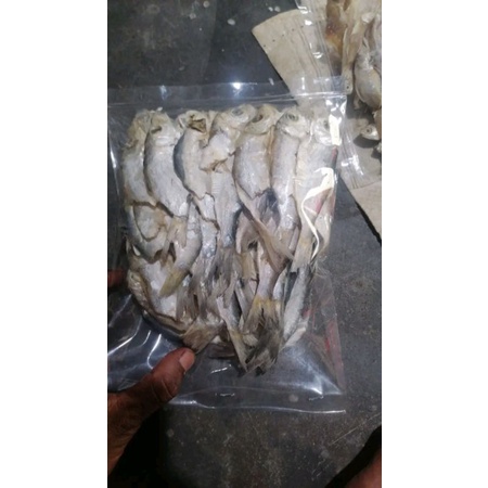 

Ikanasinpontianak