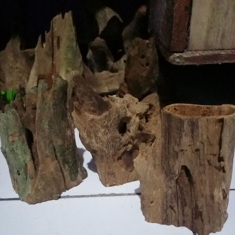 pot kayu unik , pot kayu erosi , pot kayu unik , pot tilandsia , pot anggrek mini ,media tanam anggr
