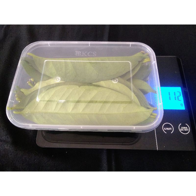 

DaunSalamKemasan100Gram