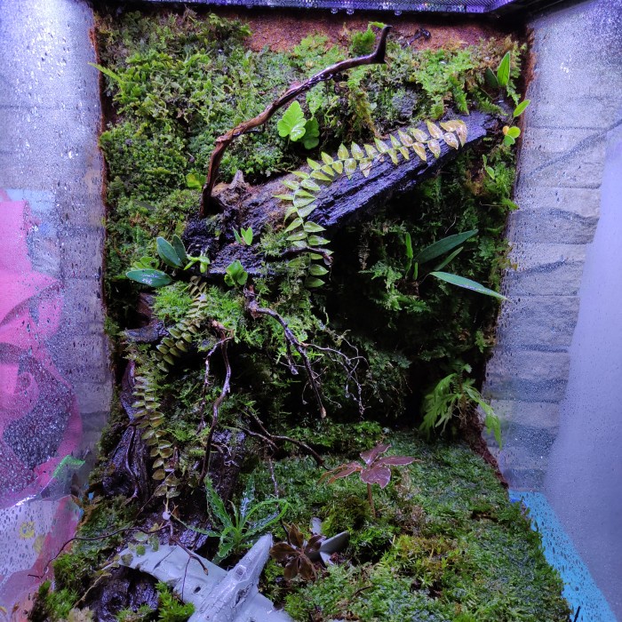 Bioactive Vivarium