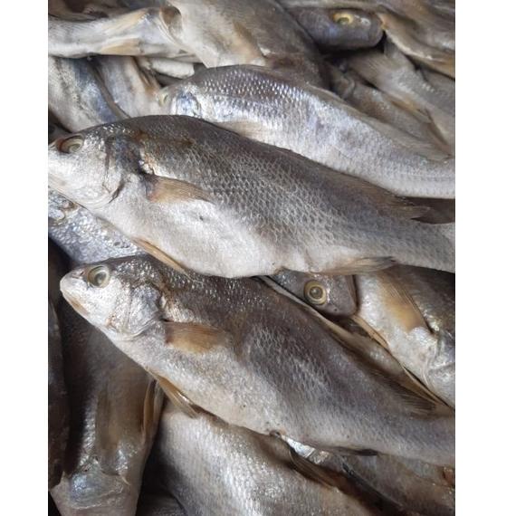 

W(1O✓) Ikan Asin Sileman 500 gr viral