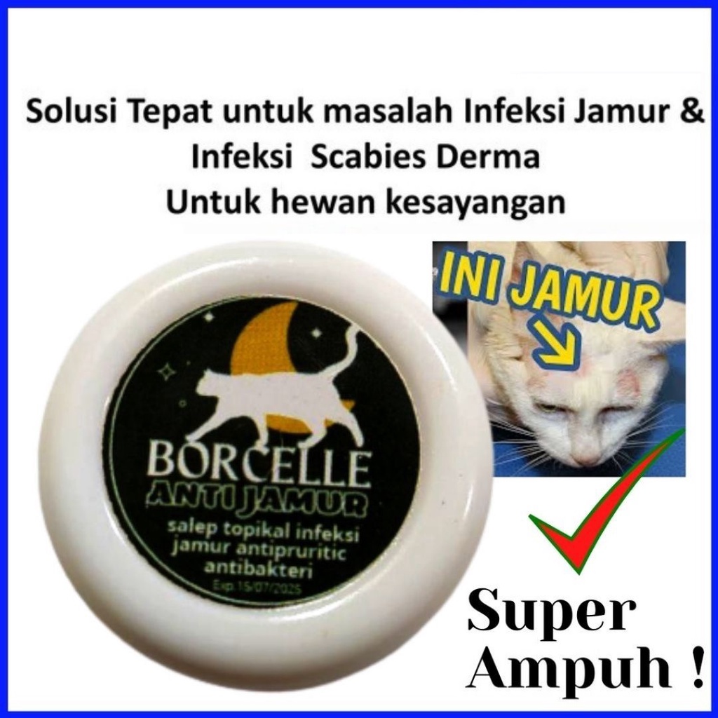 Salep Untuk Mengobati Jamur Kucing Kitten / Cream Anti Bakteri Kucing FEZONE