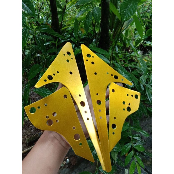 pemanis rangka vixion bolong