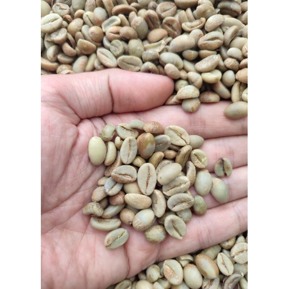 

Green Bean Petik Merah Robusta Gunung Sumbing Temanggung 1kg