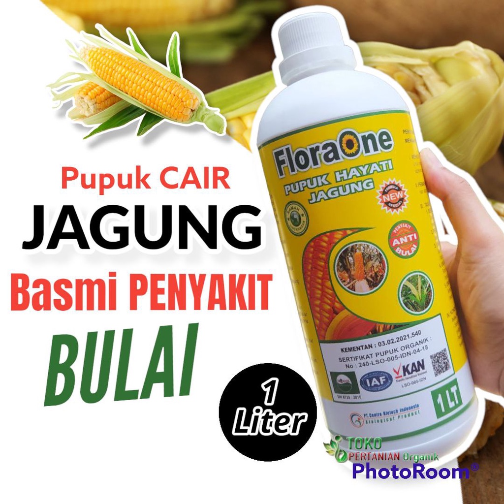 Pupuk Hayati Cair jagung biar subur, Fungisida Cair untuk jagung baru tumbuh