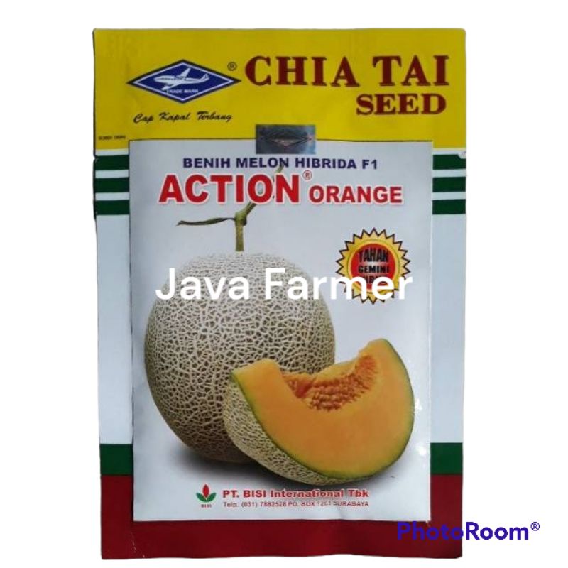 Benih Melon Hibrida F1 Action Orange isi 550 biji