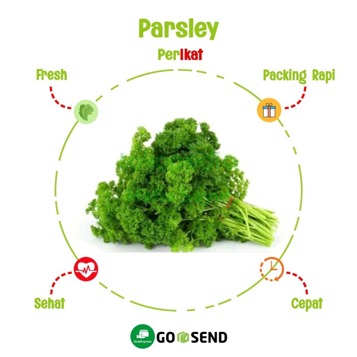 

DAUN PARSLEY / PETERSELI / FRESH VEGETABLE / SAYUR SAYURAB SEGAR - 500 gram