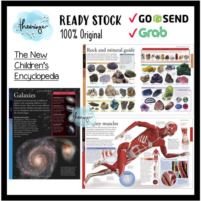 Dk The New Children'S Encyclopedia Hardcover - Ensiklopedia Inggris